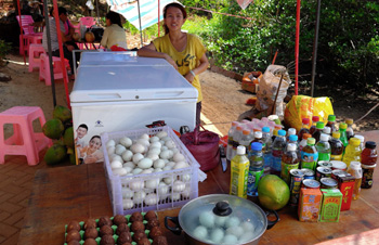 Taking a leaf out of the book of nature