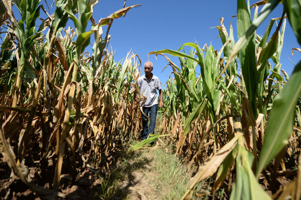 Emergency response initiated for drought-hit NE China