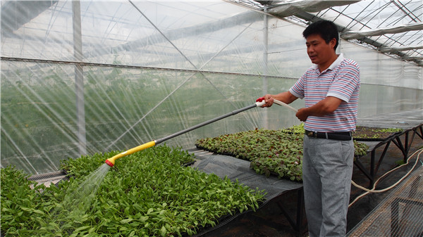 Devoted husband reaps rewards from gardening