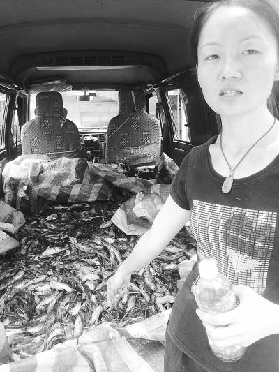 武漢河垴因龍卷風停電 魚缺氧死亡致?lián)p失逾百萬