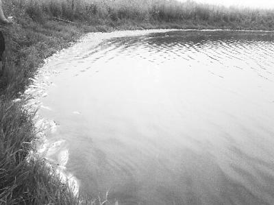 武漢河垴因龍卷風停電 魚缺氧死亡致?lián)p失逾百萬