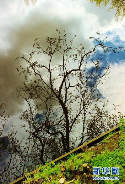 世界上最美麗的春季花園——荷蘭庫(kù)肯霍夫公園
