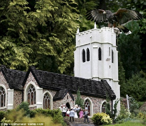 英國名勝雇鷹作“保安”