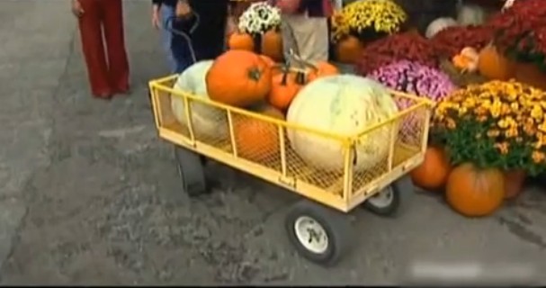 奧巴馬夫婦逛農貿市場 買10個南瓜為萬圣節做準備