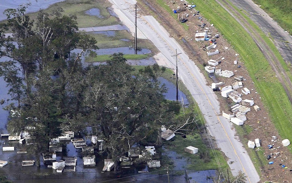 美颶風重災區一片狼藉：海貍鼠尸體堆積如山、墓碑棺材被沖走