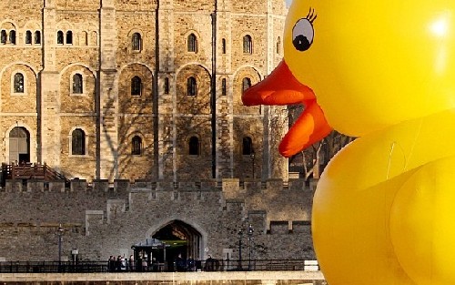 大鴨子“暢游”英國(guó)泰晤士河 只為博市民一笑(圖)