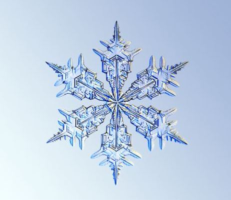 怎一個美字了得！美國科學家帶你圣誕看雪花(圖)