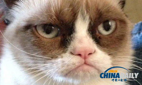 暴躁喵星人走上大熒幕 風格類似加菲貓