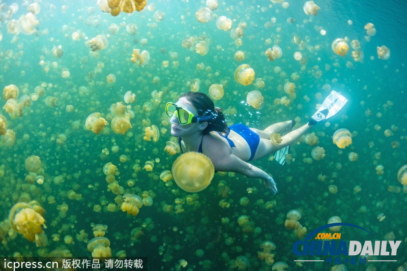 比基尼美女與水母同游 夢幻場景亦幻亦真 <BR>