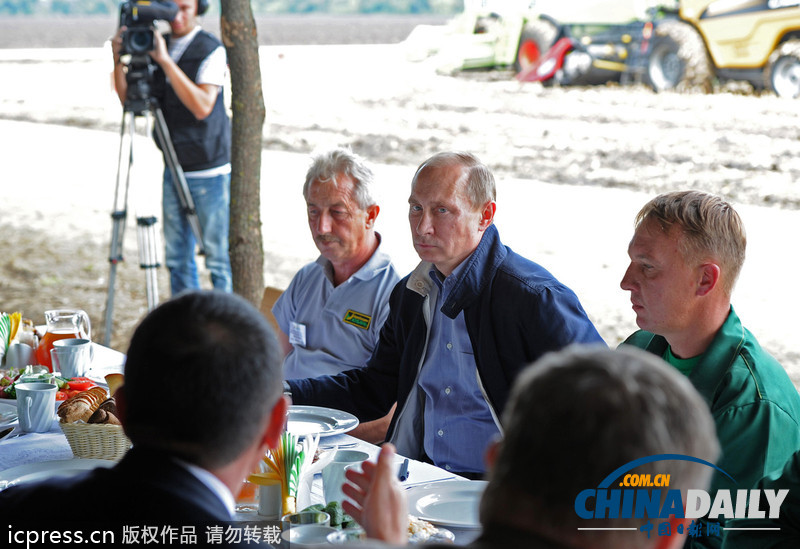 普京視察秋收情況 自稱對著鏡頭很難盡情用餐（圖）