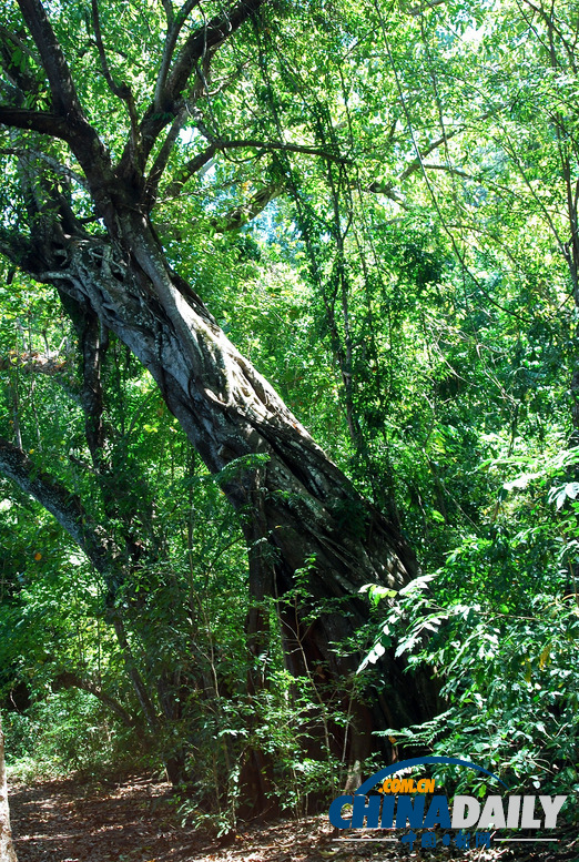 玩在印尼：松巴島南沙灘美不勝收（組圖）