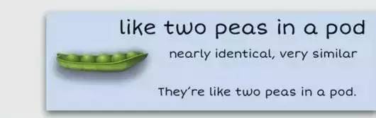 萌你一臉的生活常用諺語!