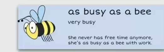 萌你一臉的生活常用諺語!