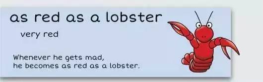 萌你一臉的生活常用諺語!