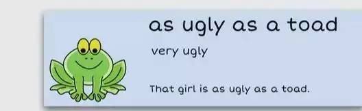 萌你一臉的生活常用諺語!