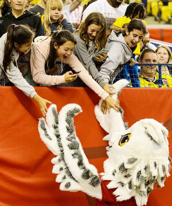 女足世界杯：魅力持續升溫