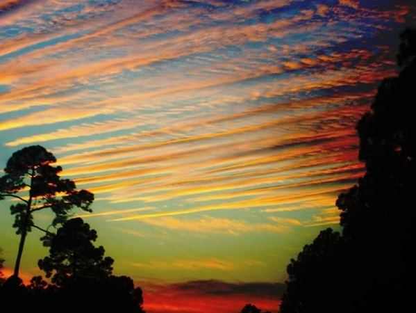 陳奕迅:What A Wonderful World