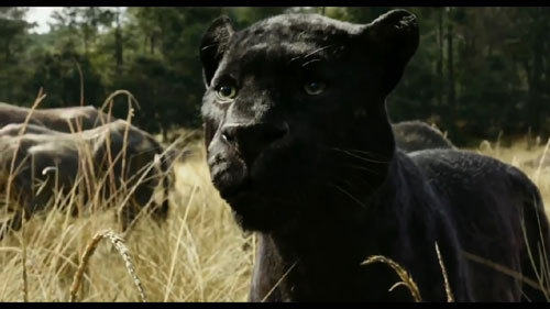 迪士尼《奇幻森林》中文預告片