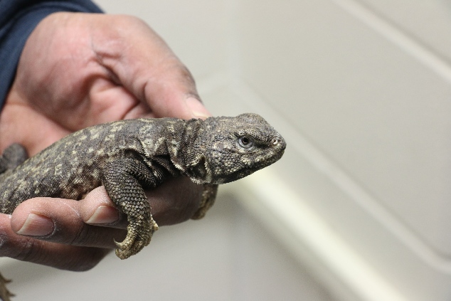 那些英國(guó)人被機(jī)場(chǎng)安檢沒(méi)收的奇葩物品