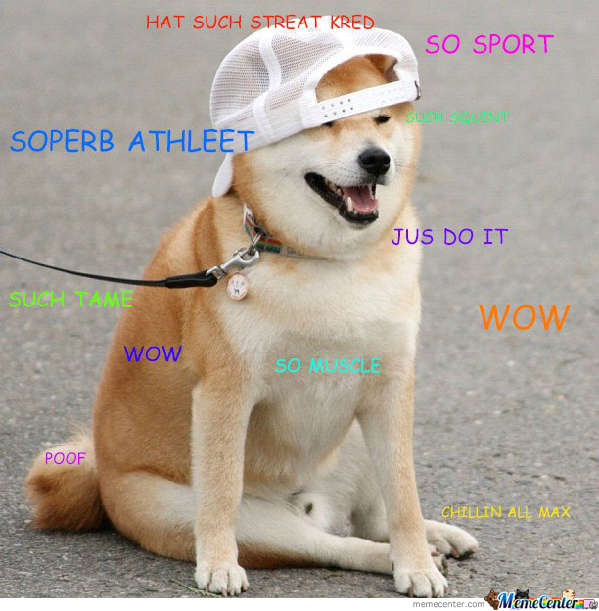 網紅“神煩狗”:你是哪一款?