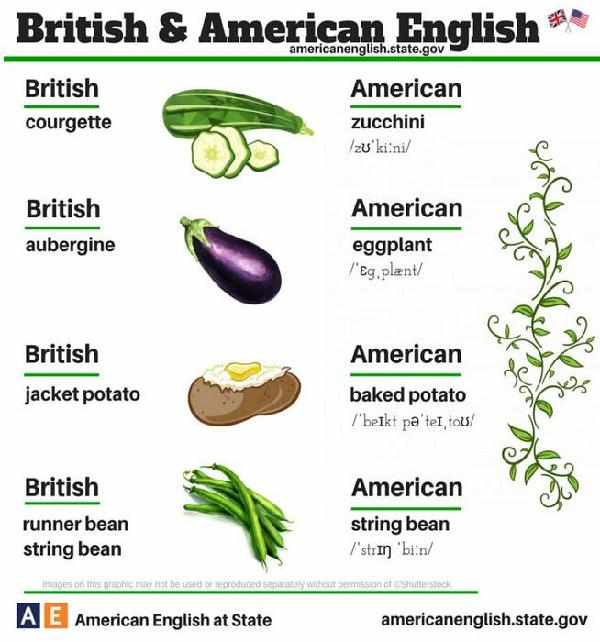 24張圖告訴你:英式英語和美式英語的不同