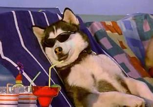 神吐槽:17種奇葩的乘機行為