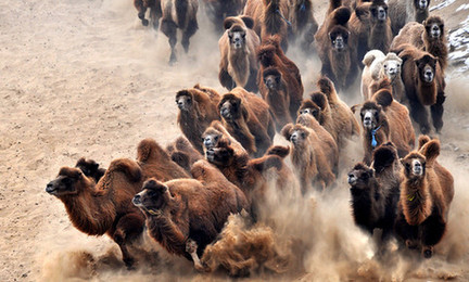 神吐槽:17種奇葩的乘機行為
