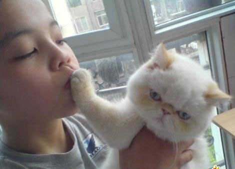 記?。洪]嘴不是“Shut Up”!