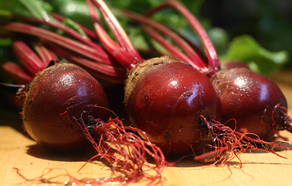 久坐黨福音！這8種食物能緩解腰酸背痛