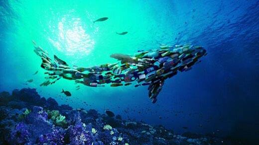 觸目!浮游生物首次被拍到攝入塑料