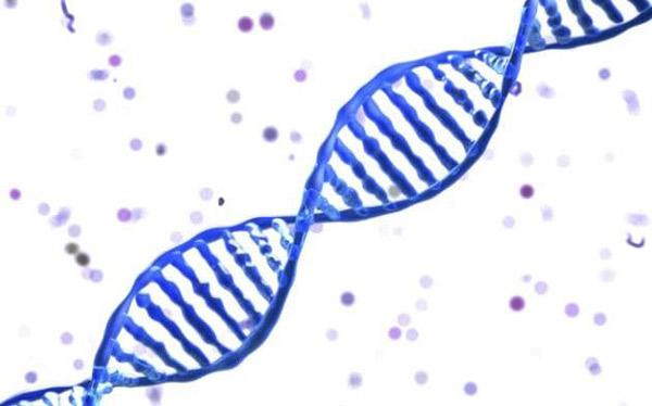 科學家:得不得癌癥 基本看運氣