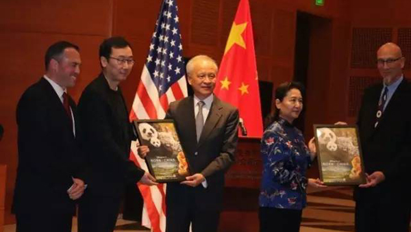 《我們誕生在中國》美國熱映 大熊貓、金絲猴、雪豹海外圈粉