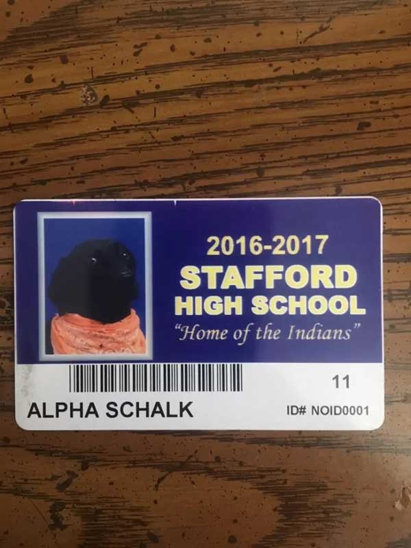 暖暖的！狗狗亮相高中畢業紀念冊