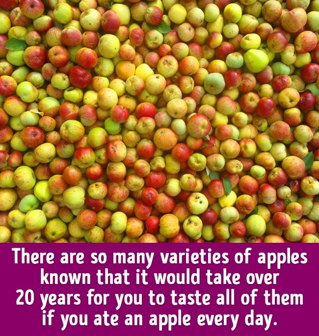 關(guān)于食物的20個(gè)冷知識(shí) 刷新你的食物觀（組圖）