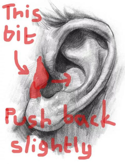 10個關于身體的小秘密，為什么我現在才知道！