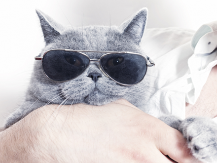 英語中有多少種方式夸你“好”?