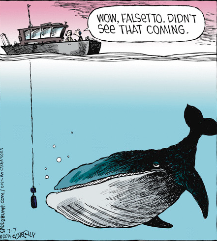 王寶強離婚,“萬萬沒想到”