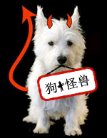 趣味翻譯:沒有自行車的魚?